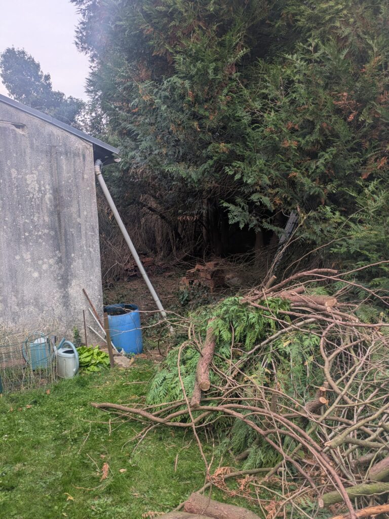 WhatsApp Image 2025-12-12 at 10.57.21 (1)