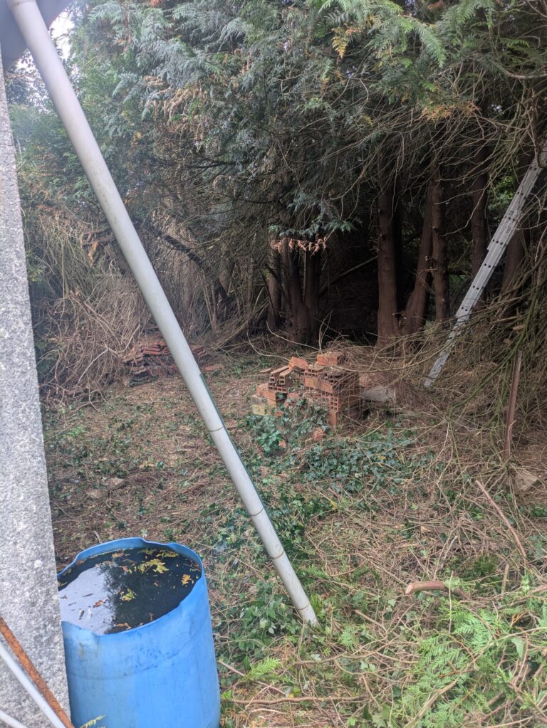 WhatsApp Image 2025-12-12 at 10.57.21 (2)