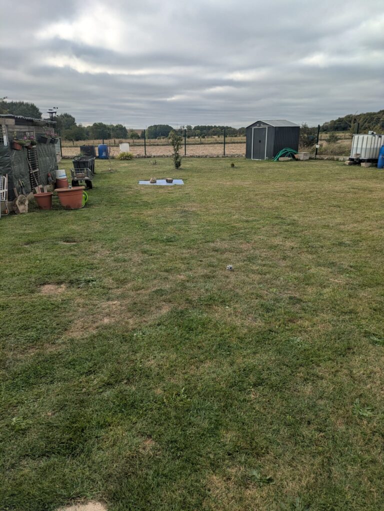 WhatsApp Image 2025-12-12 at 10.57.21 (3)