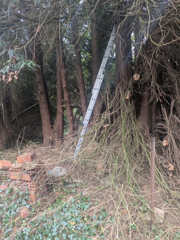 WhatsApp Image 2025-12-12 at 10.57.21