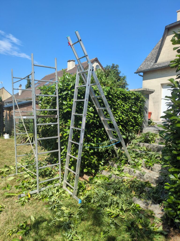 WhatsApp Image 2025-12-12 at 11.07.43 (2)