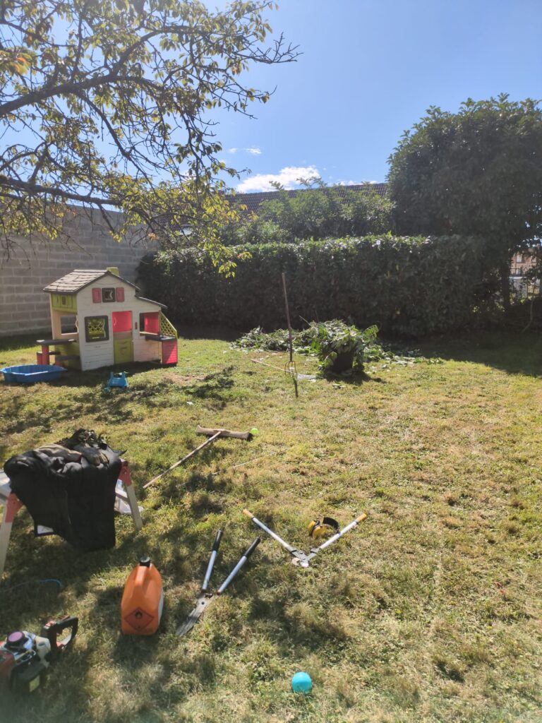 WhatsApp Image 2025-12-12 at 11.07.43 (3)