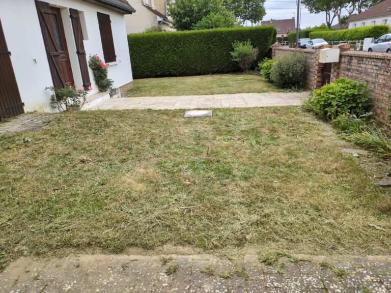 WhatsApp Image 2025-12-12 at 11.09.43 (1)