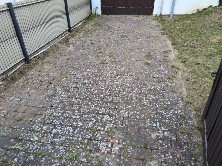 WhatsApp Image 2025-12-12 at 11.09.43 (2)