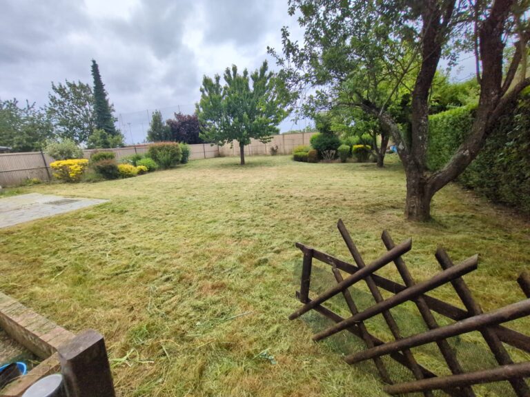 WhatsApp Image 2025-12-12 at 11.09.43 (3)