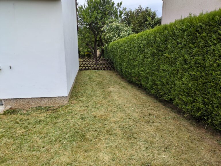 WhatsApp Image 2025-12-12 at 11.09.43